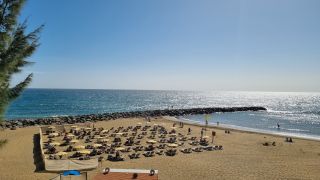 2024-01-Paseo_Costa_Canaria-San_Agustin-Ingles-154.jpg